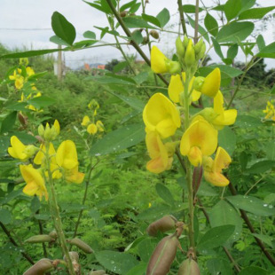 �iʺ���N��̫���N�әE�A�~�iʺ�����A�~�iʺ���N��