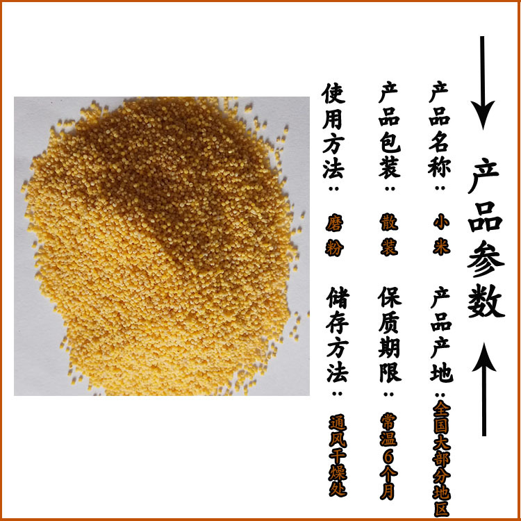 Low Temperature Roasted Millet Whole Grain Cereal for Congee and Soy Milk Northeast China key features