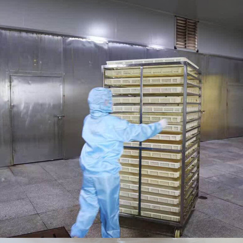 Factory Source 5A Large Mango Dried Fruit Bulk Wholesale Micro-merchant Snack Factory Source New Type Food Fruit Dried Fruit Candied Fruit