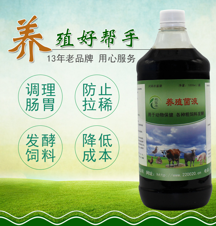  哪种益生菌给育肥猪吃能够预防育肥猪拉稀生病