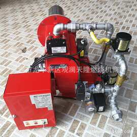 销售日本olympia奥林佩亚牌GOM-2NWM双段火液化气天燃气燃烧机
