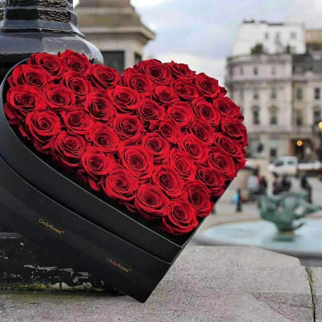 微信图片_20180514150352