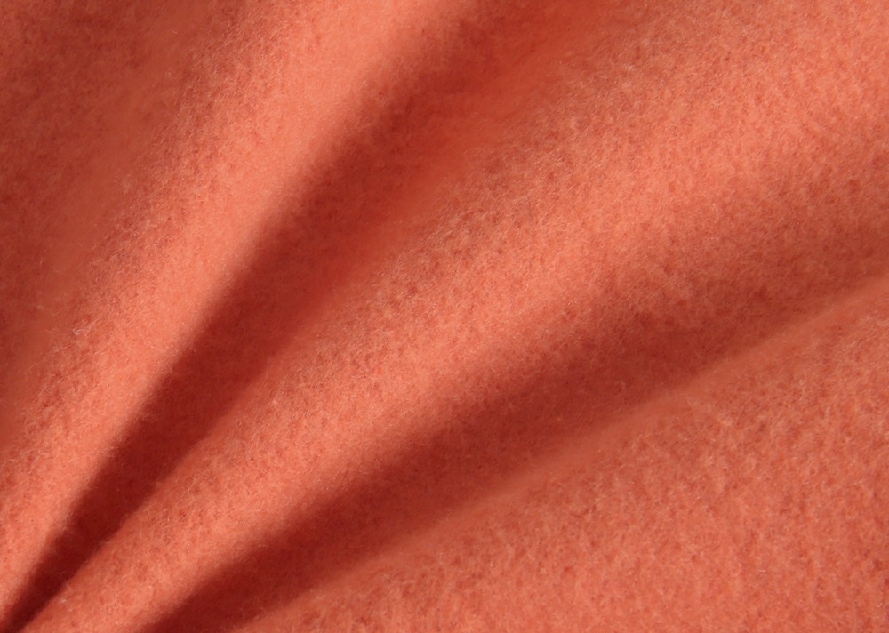 6N8A6470.JPG