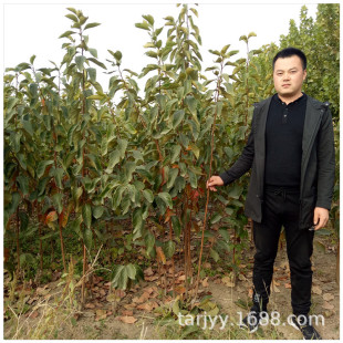 ���l�������Ә��� �F؛�����ֶ�һ�������������� �F��  �����]��