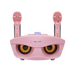 SD306 Microphone Home KTV Portable Sound Card Wireless Live Broadcast Wireless Microphone Bluetooth Audio Integrated