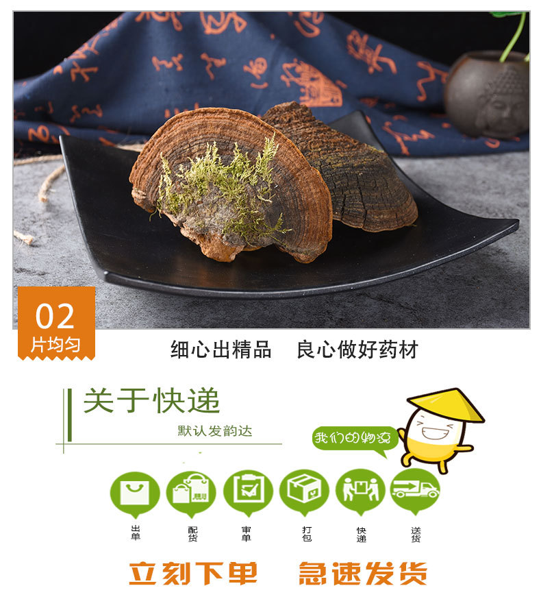 Dou Long Zhi (Ganoderma) — Tibetan Dried Reishi Mushroom, Bulk 500g Food Herb quality and texture