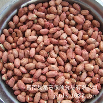 新花生米 厂家直批 山东大粒生花生 常年批发 优质花生|ru