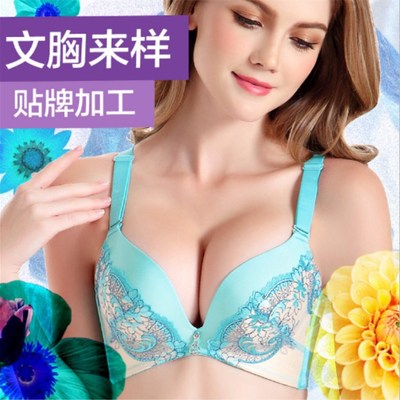 depth Audit OEM memory Gather sexy Body Bras Underwear