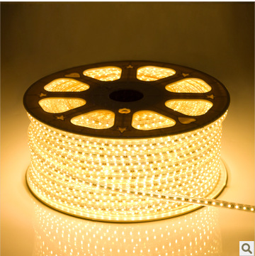 XINGCAN  220V ũ Ʈ Ʈ Ʃ Ʈ Ʈ    5050 ġ 60  LED Ʈ Ʈ  ܼƮ