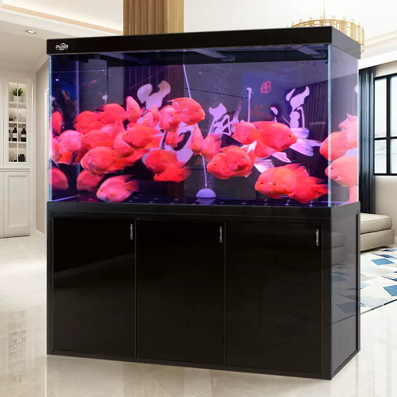 鱼缸水族箱小型客厅家用玻璃生态长方形现代简约免换水金鱼缸创意