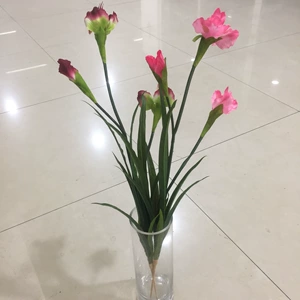 Моделирование цветочного моделирования aquside alice belt leaf leaf super super sumuration 4 -color spot sms direct sales