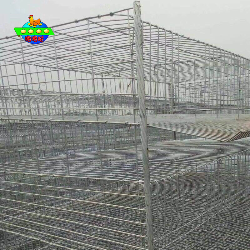 弘丰出售鹌鹑养殖笼  加粗加密阶梯型  6层养殖笼