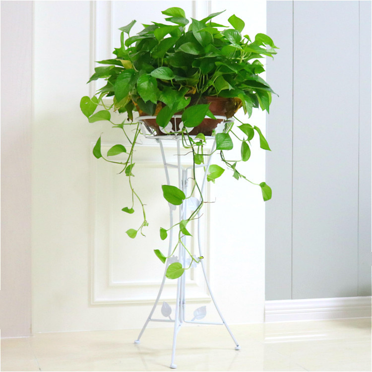 180 # 360 plantas de maceta de orquídeas verdes flores de orquídeas colgantes de flores de planta verde de interior absorción de formaldehído aire purificado gran rosa verde