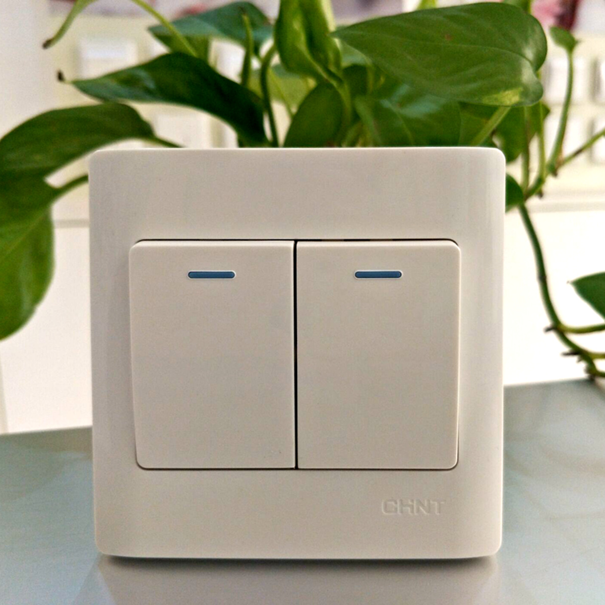 正泰开关插座 NEW7-W0030 白色 二开单控10A250V 雅白色