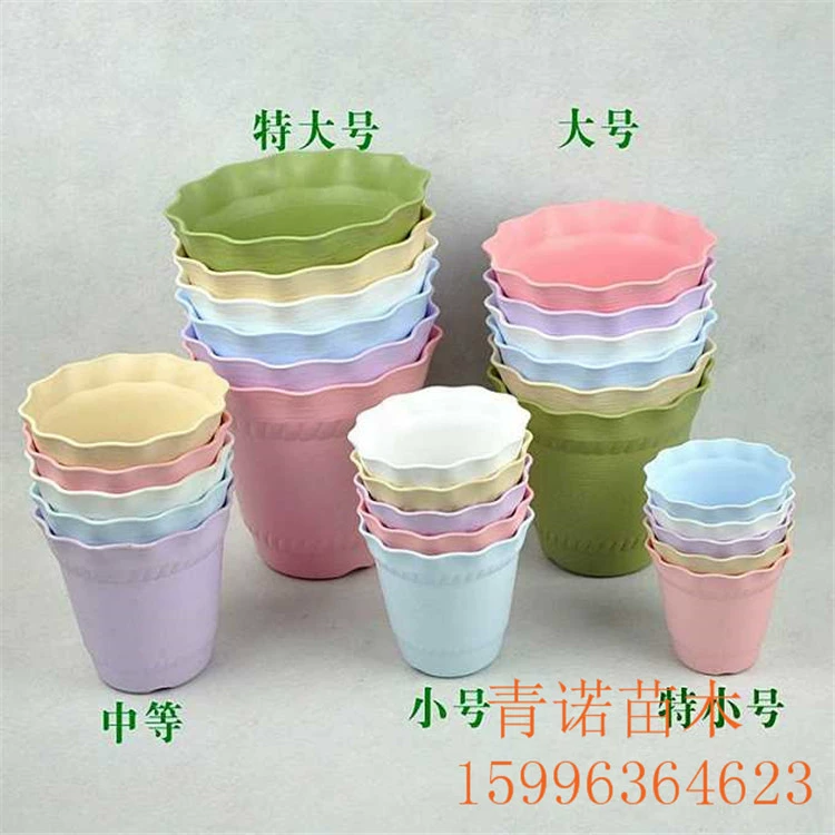 Завод прямой Роман горшок пластиковый цветочный горшок цвет богатые продаж, включая держатель бассейна