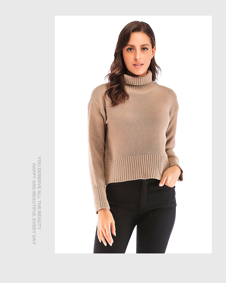 autumn and winter casual turtleneck sweater  NSJR17228