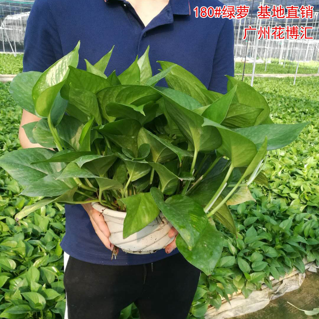 微信图片_20180523184531