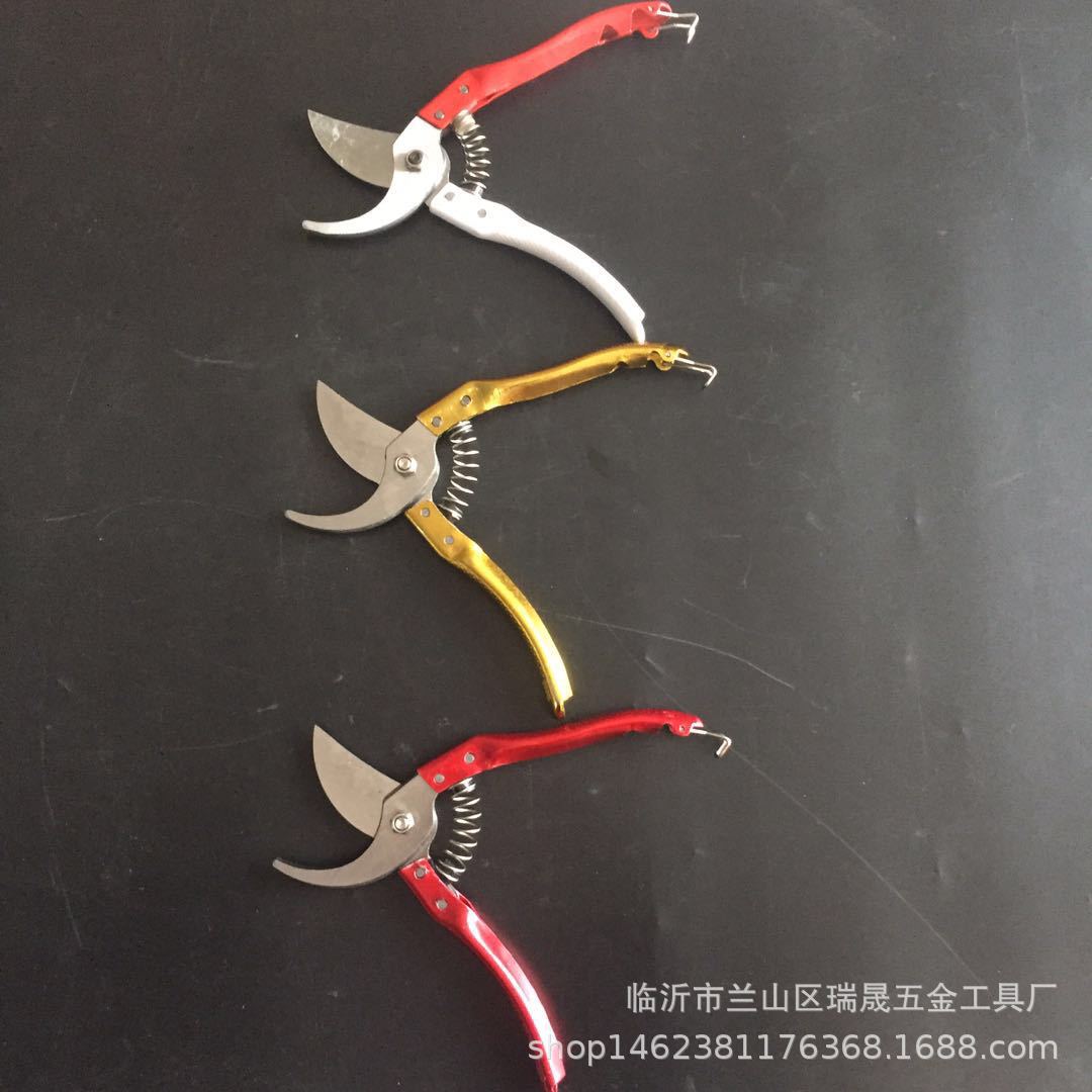详情图
