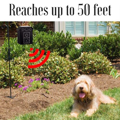 Pet supplies, new bark collar, pet bark collar, pet ultrasonic bark collar, dog training device