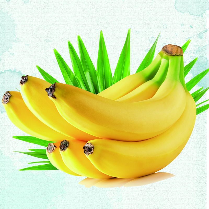Tempo Bananas fruit wholesale Fujian, Zhangzhou banana Origin supply Tasty fresh Yellow bananas
