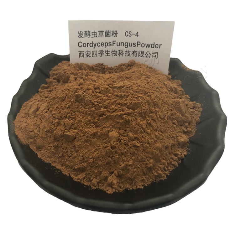 发酵虫草菌粉