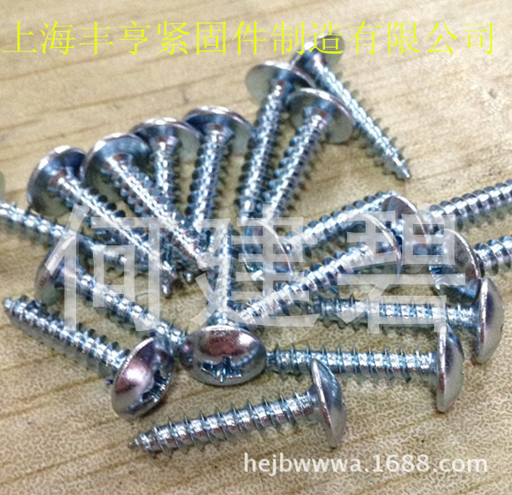 蓝白锌加硬大扁头自攻螺丝 伞头十字自攻螺钉 蘑菇头自攻螺钉