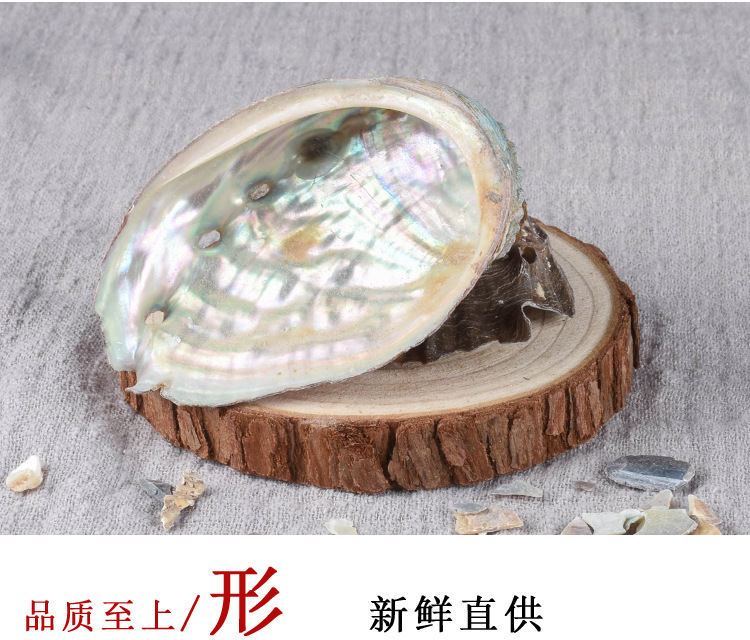 Shi Jue Ming (Haliotis Shell / Abalone Shell) — Dried Mineral Herb, 500g key features
