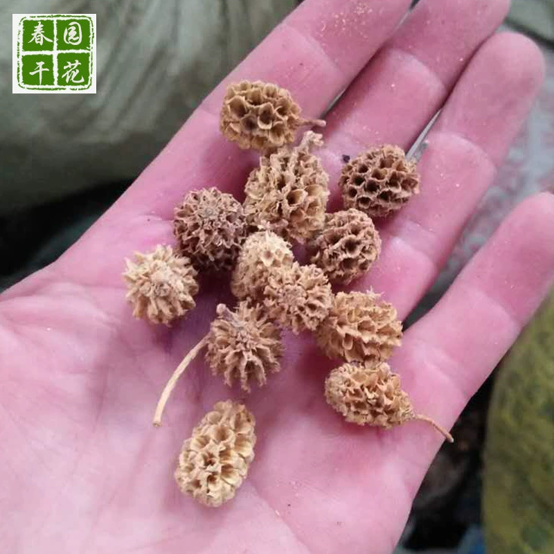 [木麻黄果实马尾小松果 干花diy材料包花材摆件真永生花束干花批发]