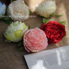 Peony Simulation Flower Celestial Peony Flower Head Wedding Silk Wall Hand Hand DIY Headwear Buhua Home Decoration Fake Flowers