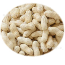 �F؛�N��ˮ����Ư�ׄ� ��ֹ��֮��l�ڡ��l�S ���ƻ����İ׶�