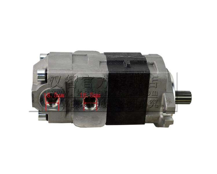 齿轮泵（副厂）TCMZ8比6BG1小