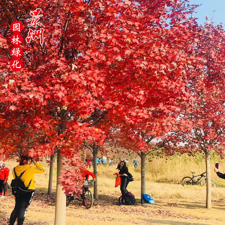 QQ图片20181016100413_副本