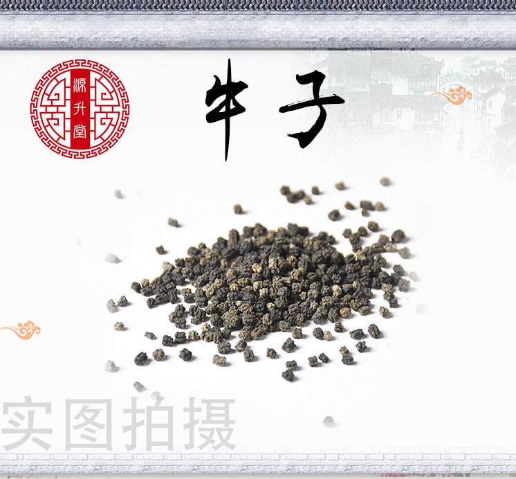 Niu Bang Zi (Arctium lappa) — Dried Burdock Fruit for Herbal Tea & Decoction overview