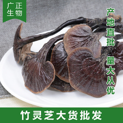 Large cargo wholesale Ganoderma lucidum Mountains Bamboo Ganoderma lucidum long foot Ganoderma lucidum Ganoderma Tonic wholesale