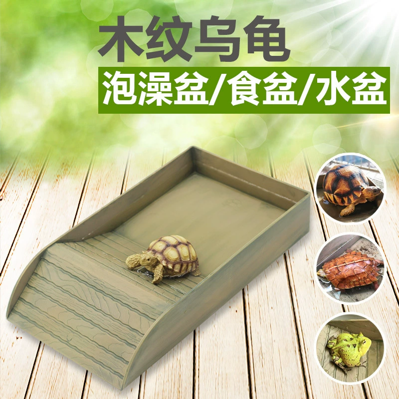 Нержавеющая сталь черепаха пластик большая черепаха гусеничный ящик половина воды черепаха лестница для ванны чаша рогатая лягушка ящерица змея водный бассейн