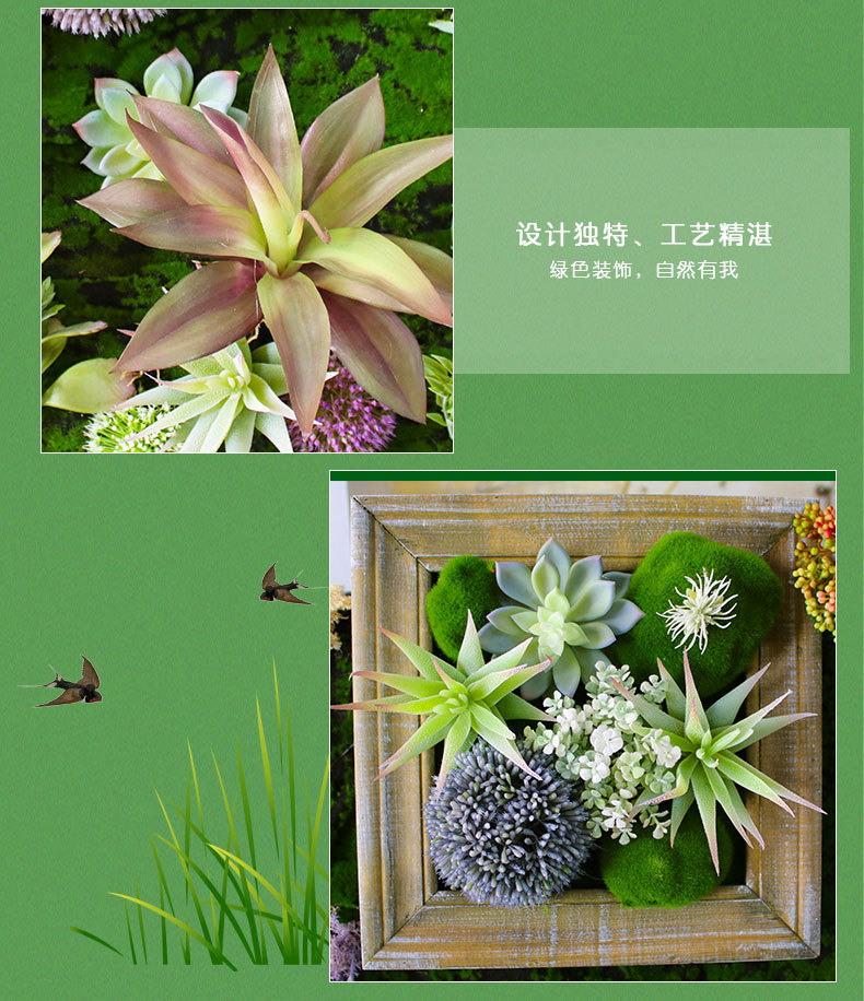 植物墙-多肉详情页_09.jpg