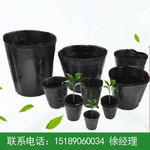 Питание Чаша пластик Рассадный бассейн черный Руийн чашка чашки утолщённый цветы Huiyu Searling Bag завод оптовая торговля