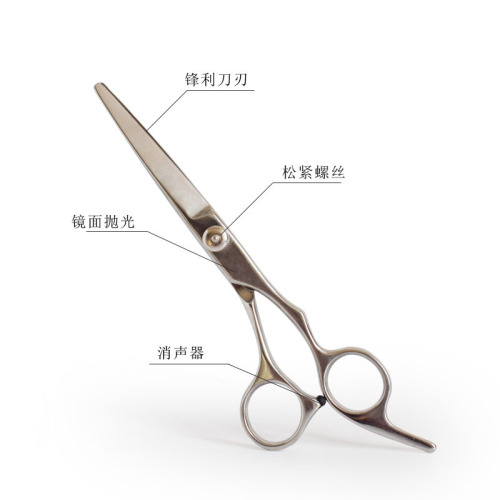 Pet Grooming Scissors 7-inch Curved Scissors/Flip Scissors/Straight Scissors/Dental Scissors Dual-Sided Two-Use Scissors