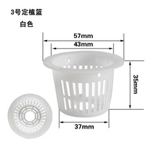 源工厂现货速发 无土水培专用固根器水培篮 3号B 45-53mm 定植篮