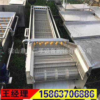 出售二手气泡清洗机蔬菜水果清洗机 大枣气泡清洗机 海鲜清洗机