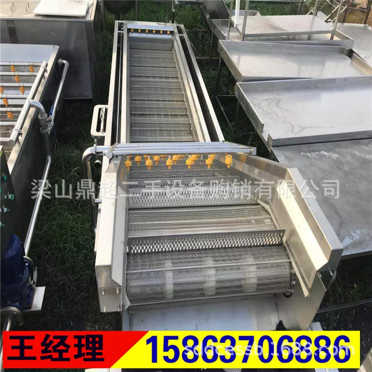 出售二手气泡清洗机蔬菜水果清洗机 大枣气泡清洗机 海鲜清洗机