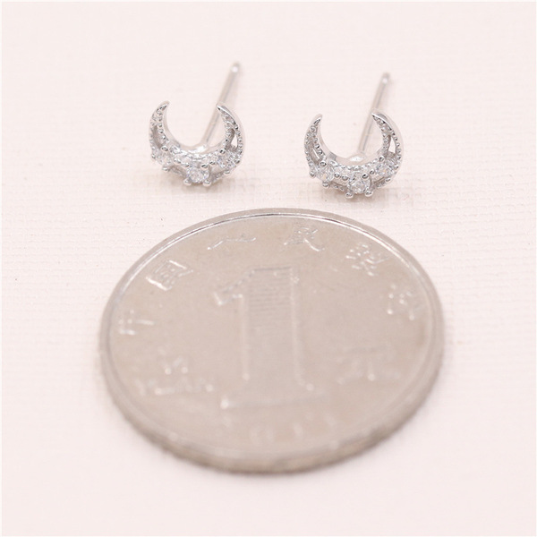 elegant earrings