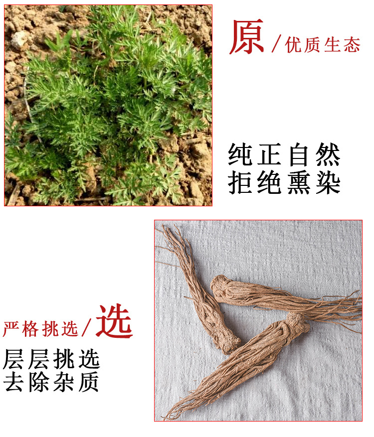Dang Gui Whole Roots (Angelica sinensis) — Dried Food-Herb from Minxian, 500g key features