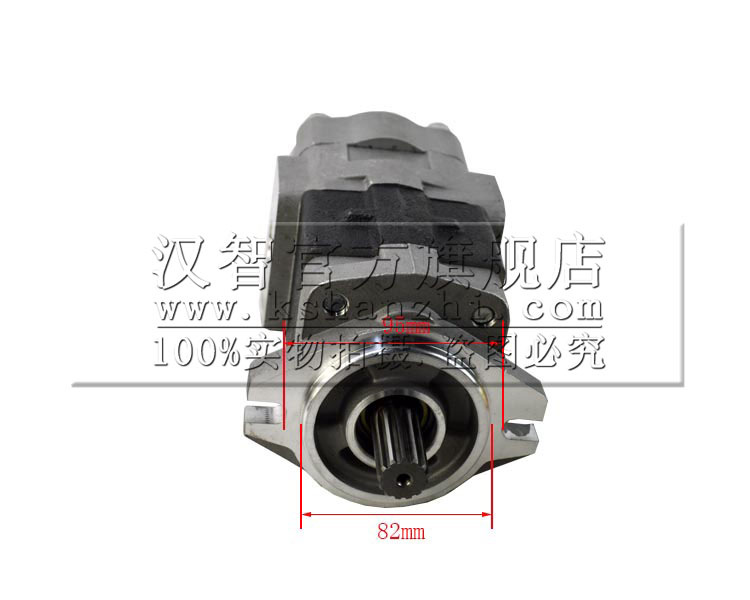 齿轮泵（副厂）TCMZ8比6BG1小