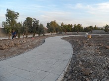 ͽBͺϲģ hpeϽBͲϰ