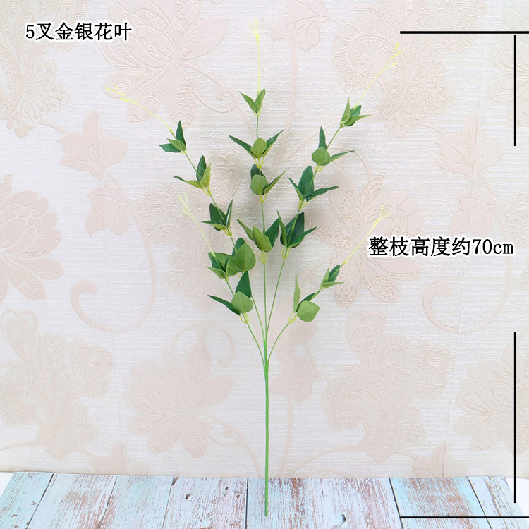 5叉金银花叶 规格 宋体.jpg