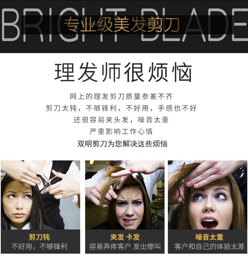 8774358151_1003092546