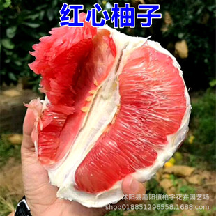 ���ӷN�Ӽt���ַN�ӏV��ɳ�����Ӹ߮a����N�ӷ������ӷN���ļ��N