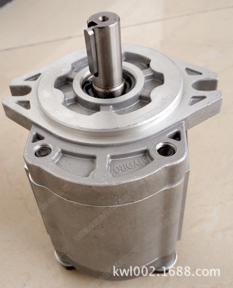 CBK1010-B1FR,CBK1010-B2FR,CBK1010-B3FR,齿轮泵