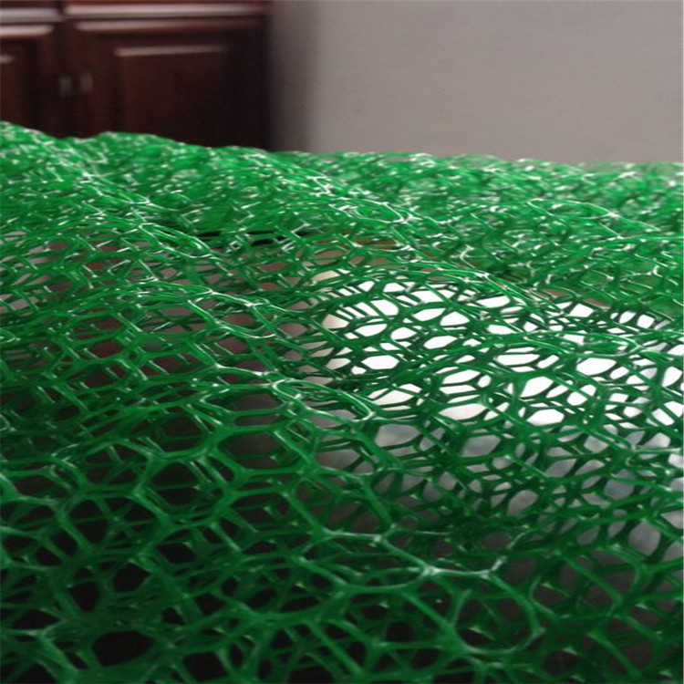 山东厂家直销 现货供应 三维植被网 坡面保护绿色环保EM3植被网|ms